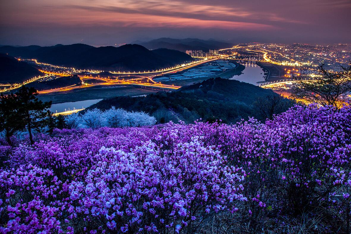 Exploring the Delights of Daegu, South Korea's Third Largest City